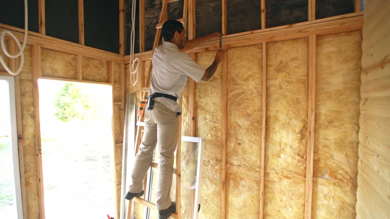 Professional Insulation Installation & Removal in Holbrook, AZ