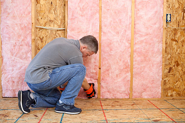 Eco-Friendly or Green Insulation Solutions in Holbrook, AZ